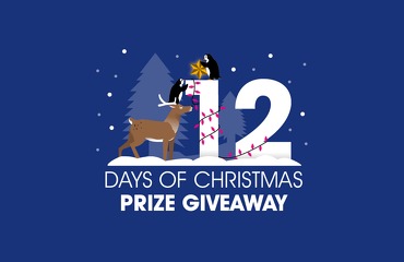 The 12 Days of Christmas Prize Giveaway